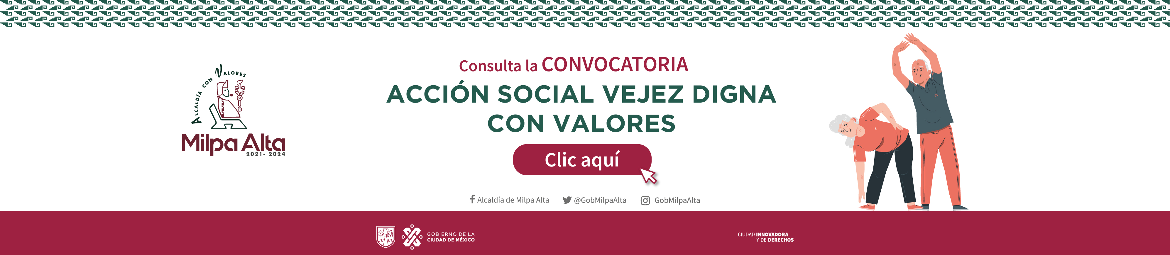 Manual de Integración y Funcionamiento del Consejo de Movilidad y Seguridad