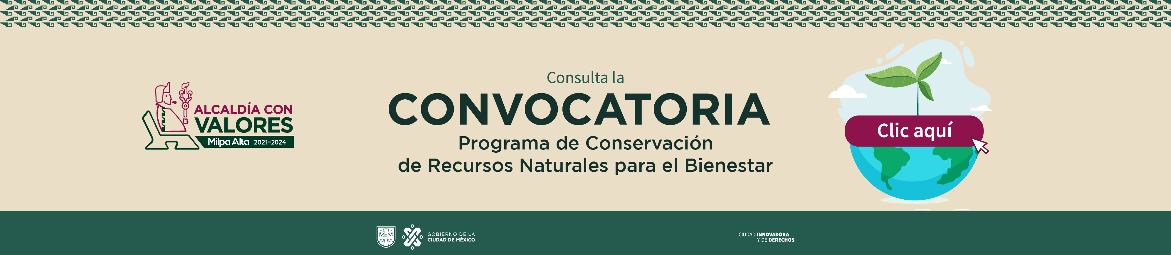 Instituto Electoral de la Ciudad de México 1
