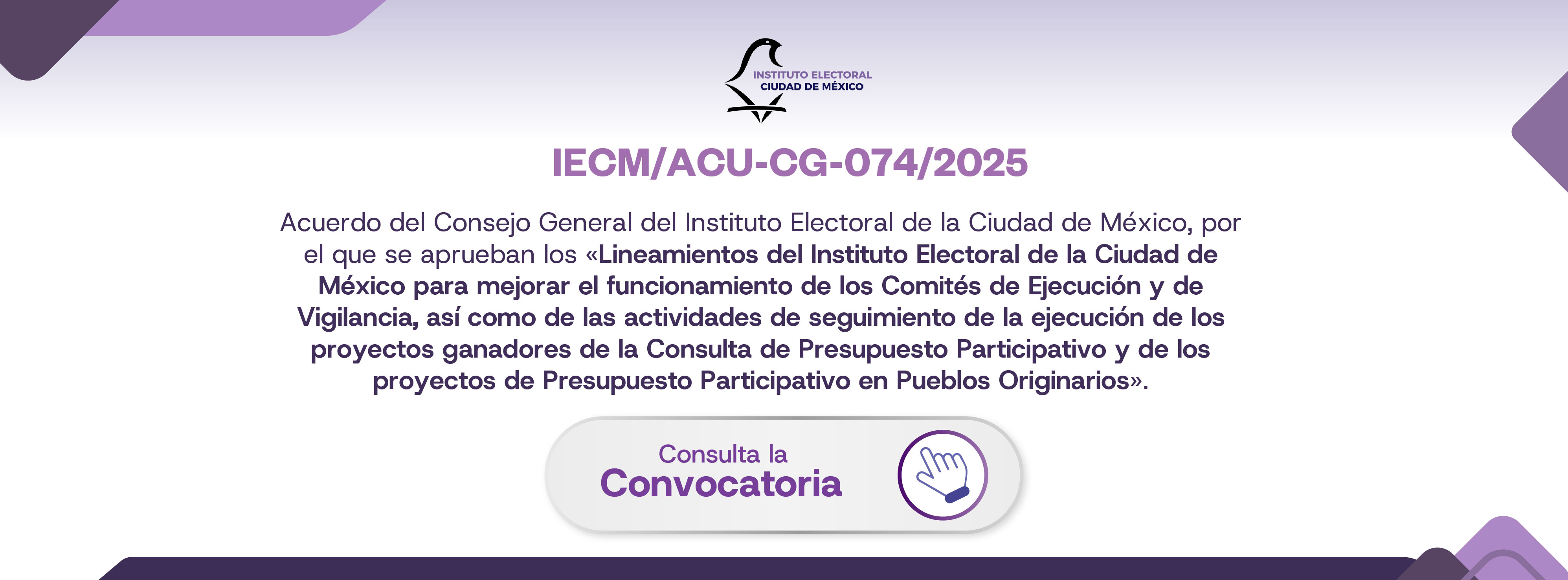 ACUERDO IECM/ACU-CG-074/2025